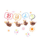 アヒルの日常会話casual conversation（個別スタンプ：17）