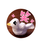 アヒルの日常会話casual conversation（個別スタンプ：19）