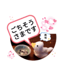 アヒルの日常会話casual conversation（個別スタンプ：23）