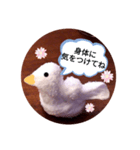アヒルの日常会話casual conversation（個別スタンプ：24）