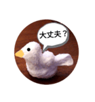 アヒルの日常会話casual conversation（個別スタンプ：25）