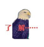 動物スタンプ（改良版）挨拶（個別スタンプ：1）