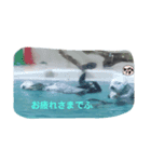 動物スタンプ（改良版）挨拶（個別スタンプ：4）