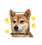 僕、げん！！（個別スタンプ：5）