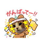 ネコちゃんの楽しいスタンプです！（個別スタンプ：5）