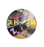 ネコちゃんの楽しいスタンプです！（個別スタンプ：8）