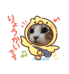 ネコちゃんの楽しいスタンプです！（個別スタンプ：16）
