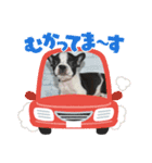 ふれぶるのはなちゃん②（個別スタンプ：1）