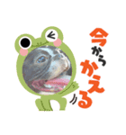 ふれぶるのはなちゃん②（個別スタンプ：3）