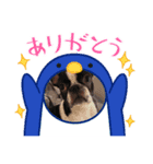 ふれぶるのはなちゃん②（個別スタンプ：4）