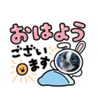 ふれぶるのはなちゃん②（個別スタンプ：5）