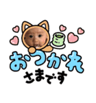 ぶたさるうし2（個別スタンプ：5）