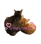 ミリメラPart1♡（個別スタンプ：1）