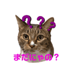 ミリメラPart1♡（個別スタンプ：3）