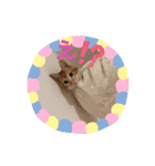 ミリメラPart1♡（個別スタンプ：9）