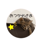 ミリメラPart1♡（個別スタンプ：16）