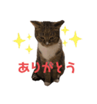 ミリメラPart1♡（個別スタンプ：19）