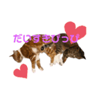ミリメラPart1♡（個別スタンプ：21）