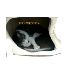まだかにゃ（個別スタンプ：6）