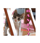 愛するトラちゃんのスタンプ（個別スタンプ：7）