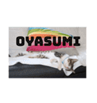 愛するトラちゃんのスタンプ（個別スタンプ：8）