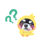 心愛くん（個別スタンプ：7）