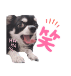 心愛くん（個別スタンプ：10）