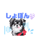 心愛くん（個別スタンプ：11）