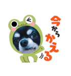 心愛くん（個別スタンプ：15）