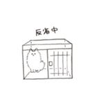 こたとこて（個別スタンプ：19）