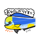 まさかな魚【ふだん使い】【敬語】2（個別スタンプ：2）