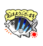 まさかな魚【ふだん使い】【敬語】2（個別スタンプ：14）