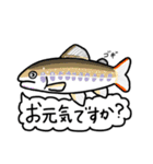 まさかな魚【ふだん使い】【敬語】2（個別スタンプ：17）