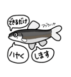 まさかな魚【ふだん使い】【敬語】2（個別スタンプ：22）