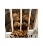 ティーカップヌードル（個別スタンプ：5）