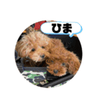 ティーカップヌードル（個別スタンプ：16）