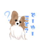 毎日使えるパピヨン犬スタンプ（個別スタンプ：9）