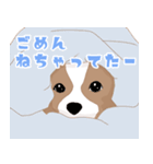 毎日使えるパピヨン犬スタンプ（個別スタンプ：38）