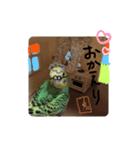 泉家のほのぼのアイドル（個別スタンプ：6）