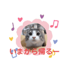 レオちゃんとたまにリオンさん✨（個別スタンプ：1）
