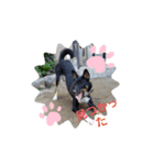かぞく～（個別スタンプ：1）