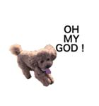 JILL DOG GREETING 2（個別スタンプ：6）