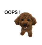 JILL DOG GREETING 2（個別スタンプ：8）