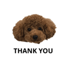 JILL DOG GREETING 2（個別スタンプ：9）