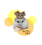 おもち よもぎ ここ ♥（個別スタンプ：15）