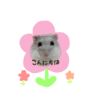 おもち よもぎ ここ ♥（個別スタンプ：16）