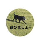 黒ラブlove（個別スタンプ：2）
