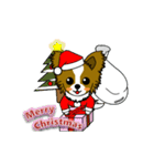 動く！パピヨンの[Xmas ＆ 年末年始]（個別スタンプ：1）