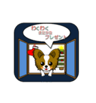 動く！パピヨンの[Xmas ＆ 年末年始]（個別スタンプ：15）