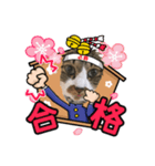 ねこちゃんスタンプ6（個別スタンプ：1）